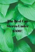 Car Stereo Under $300!